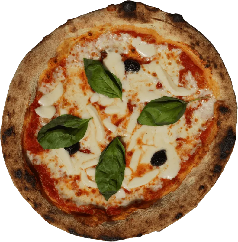 Pizza Margherita